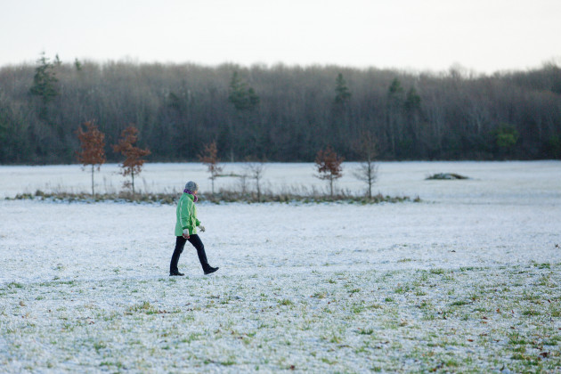 Sorry! Image not available at this time