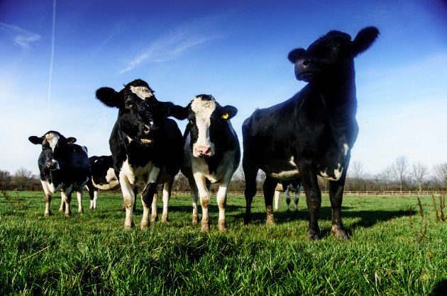 Sorry! Image not available at this time