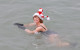 Planning on a Christmas Day dip? Here's what to know