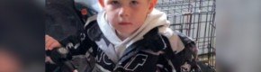 Funeral to take place for Tadgh Farrell, 4-year-old killed in Edenderry petrol bomb attack