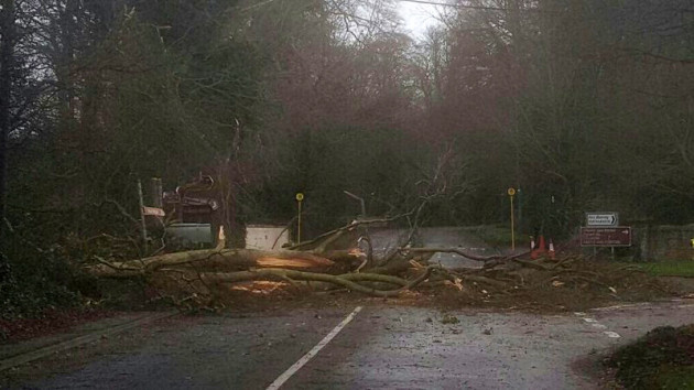 Sorry! Image not available at this time