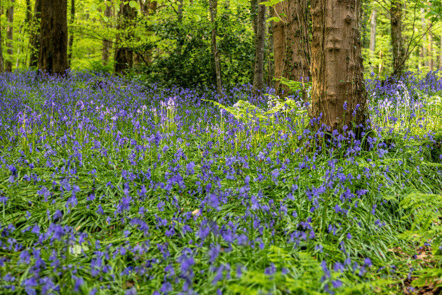 Sorry! Image not available at this time