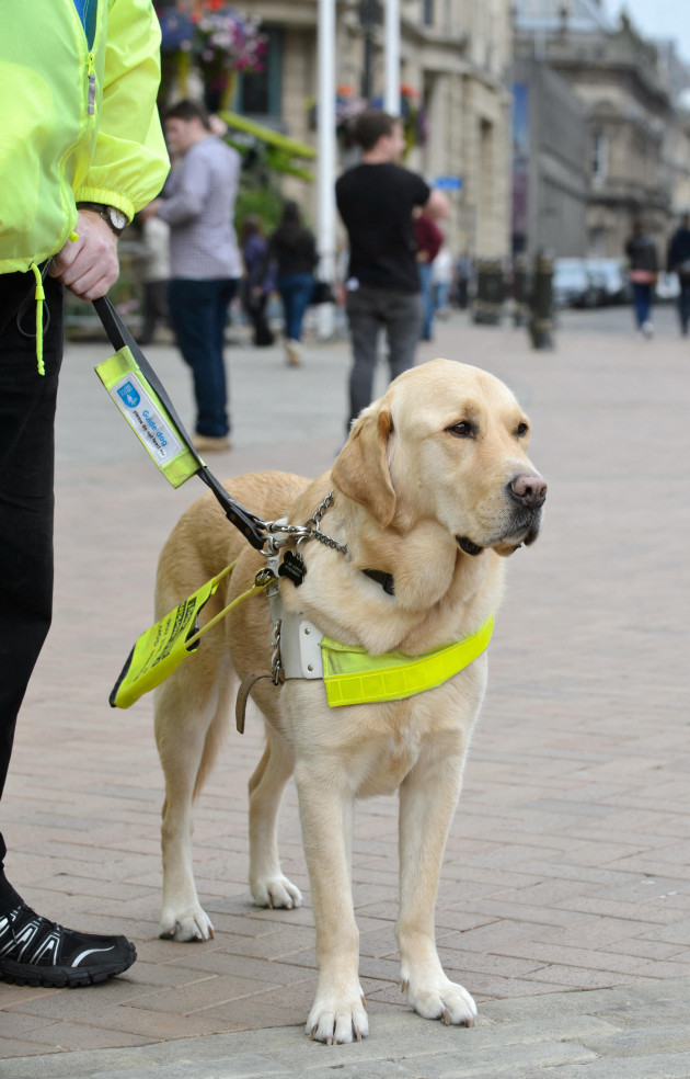 Two Dublin taxi drivers fined for refusing to take visually impaired couple and their guide dog