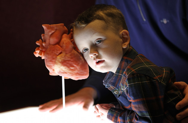 Sorry! Image not available at this time