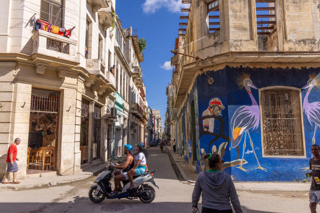 Sorry! Image not available at this time