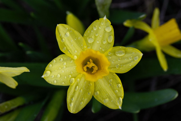 Sorry! Image not available at this time