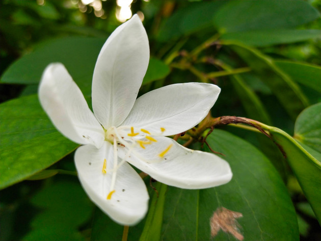 Sorry! Image not available at this time