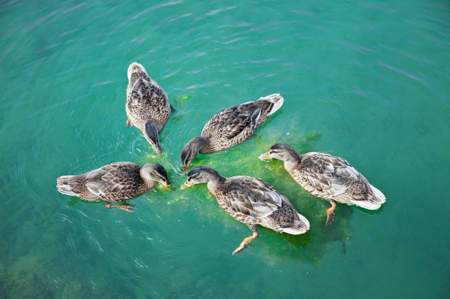 Sorry! Image not available at this time