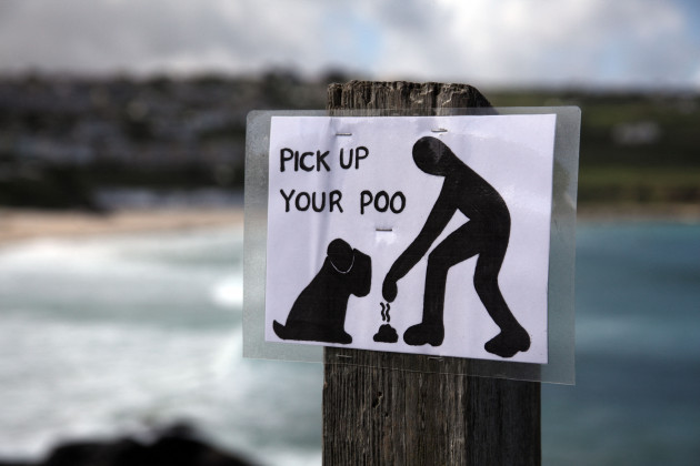 Raising them right: Nothing tests your patience like rolling a buggy through dog poo