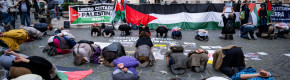 Detained flotilla activists have been released by Israeli authorities, lawyer says