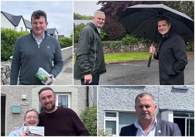 When Fine Gael ask if you want to go with them to canvass Michael D Higgins' house, you say yes.