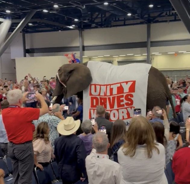 Paige the elephant 'makes a splash’ at Republic convention in Texas and urinates on arena floor