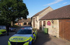 Man arrested in attempted murder probe after boy injured in crocodile cage at UK zoo