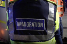 Up to 42 people, including 15 children, deported from Ireland to South Africa on latest flight