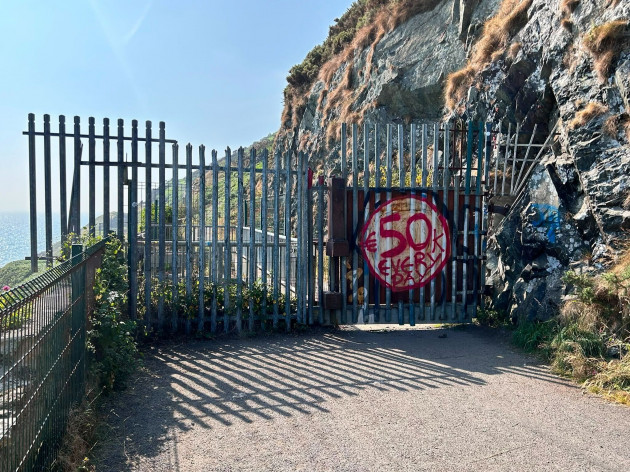 Bray-Greystones cliff walk barriers have injured more people than the landslides have, TD says