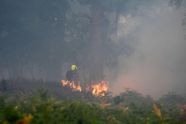Large wildfire near Britain’s biggest nuclear power station is 'stabilising'