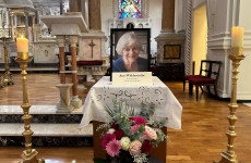 Senator: Ireland 'not immune' to violence against politicians following death of Ann Widdecombe