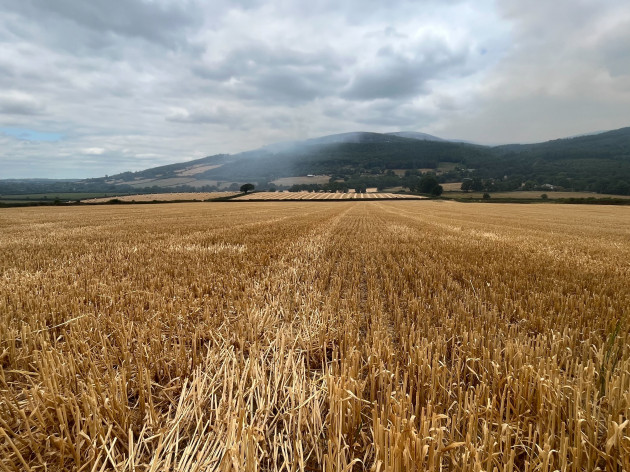 Slievenamon fire may be extinguished in two days, says Tipperary fire service
