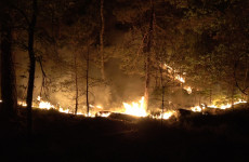 Homes evacuated as huge fire rages in Fontainebleau forest near Paris