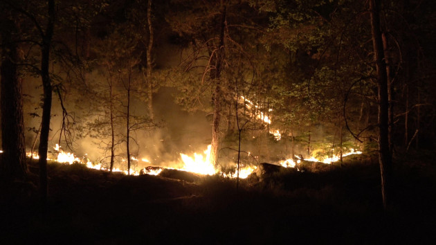 Homes evacuated as huge fire rages in Fontainebleau forest near Paris
