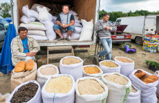 Agricultural panic or opportunity? The impact of Ukraine and its 'breadbasket' joining the EU