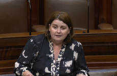 Comparison between hares and domesticated pets is 'nonsense', Fianna Fáil TD says