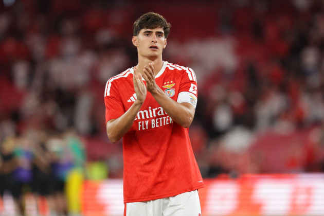Bournemouth sign Portugal defender Silva from Benfica