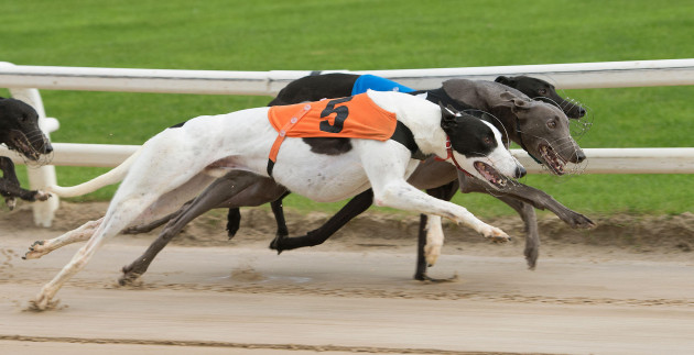 Is there a moral or business case for the Irish state to spend €20m a year on greyhound racing?